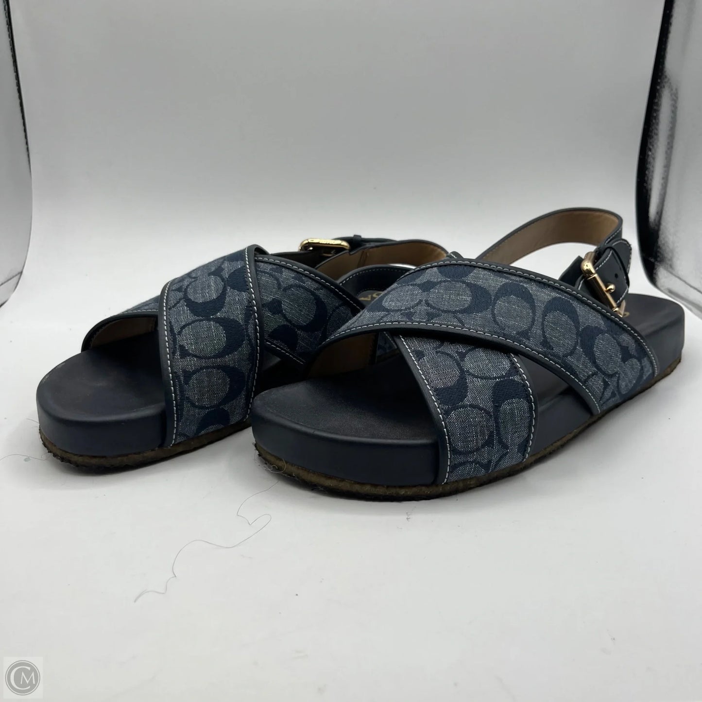 Sandals Designer By Coach In Blue, Size: 9