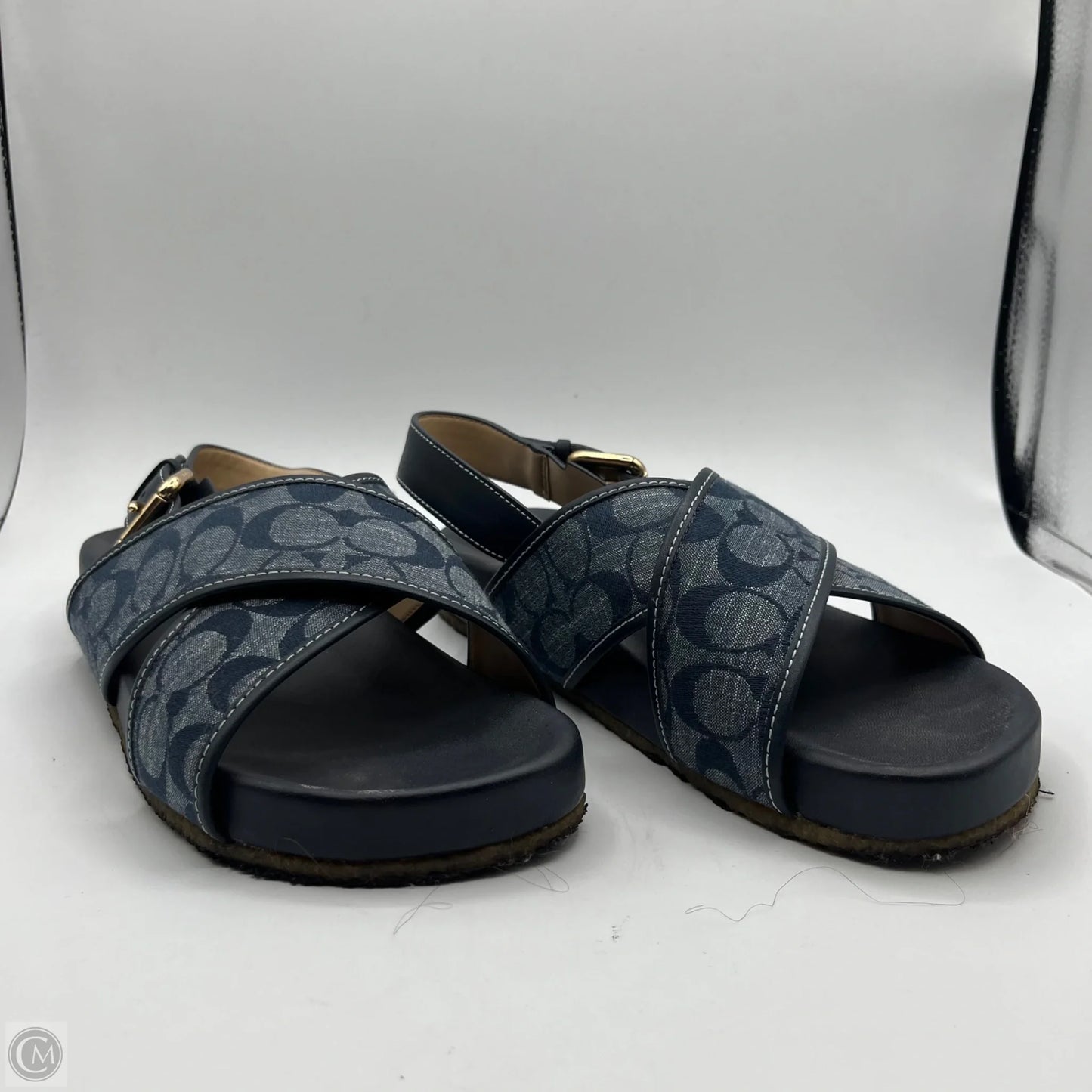 Sandals Designer By Coach In Blue, Size: 9