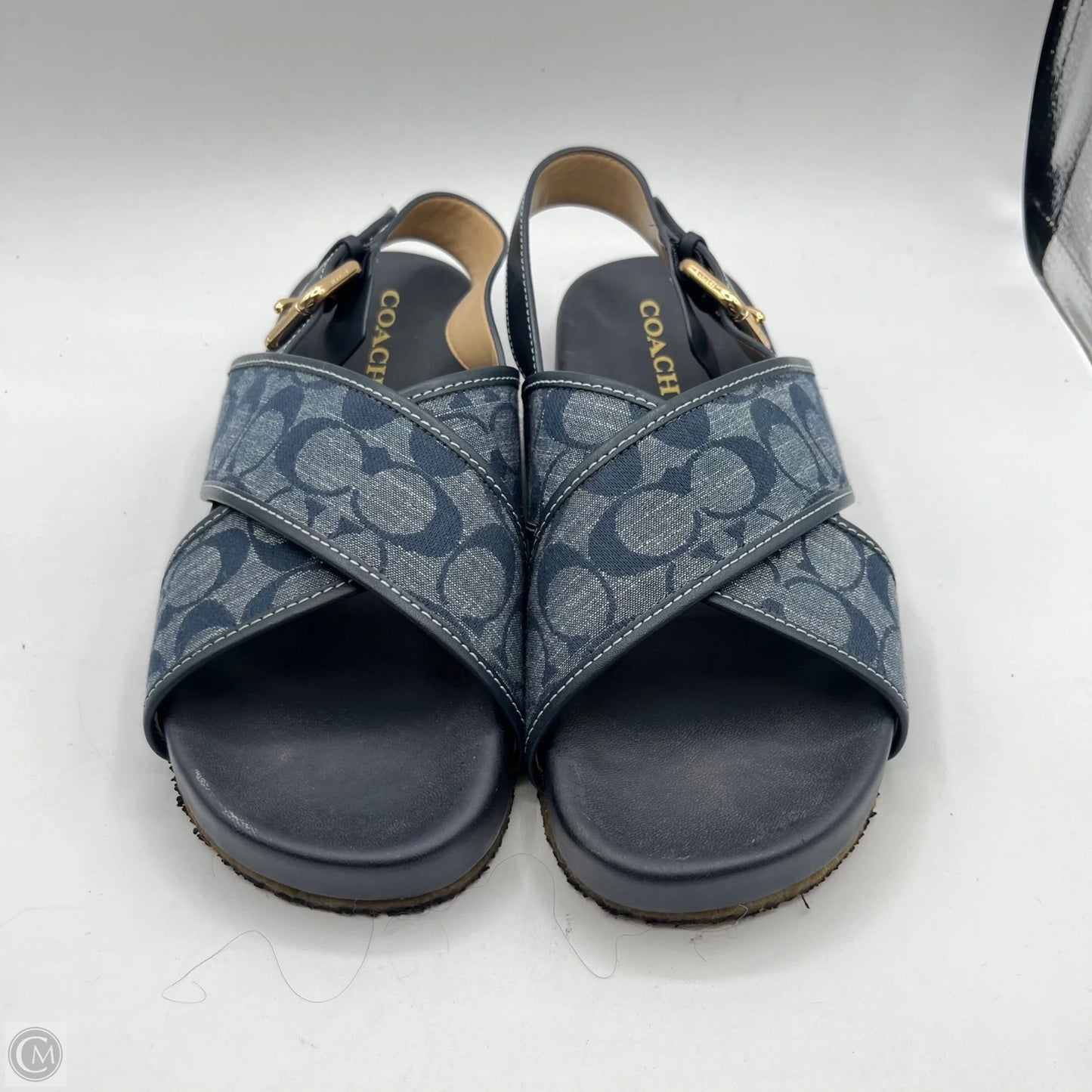 Sandals Designer By Coach In Blue, Size: 9
