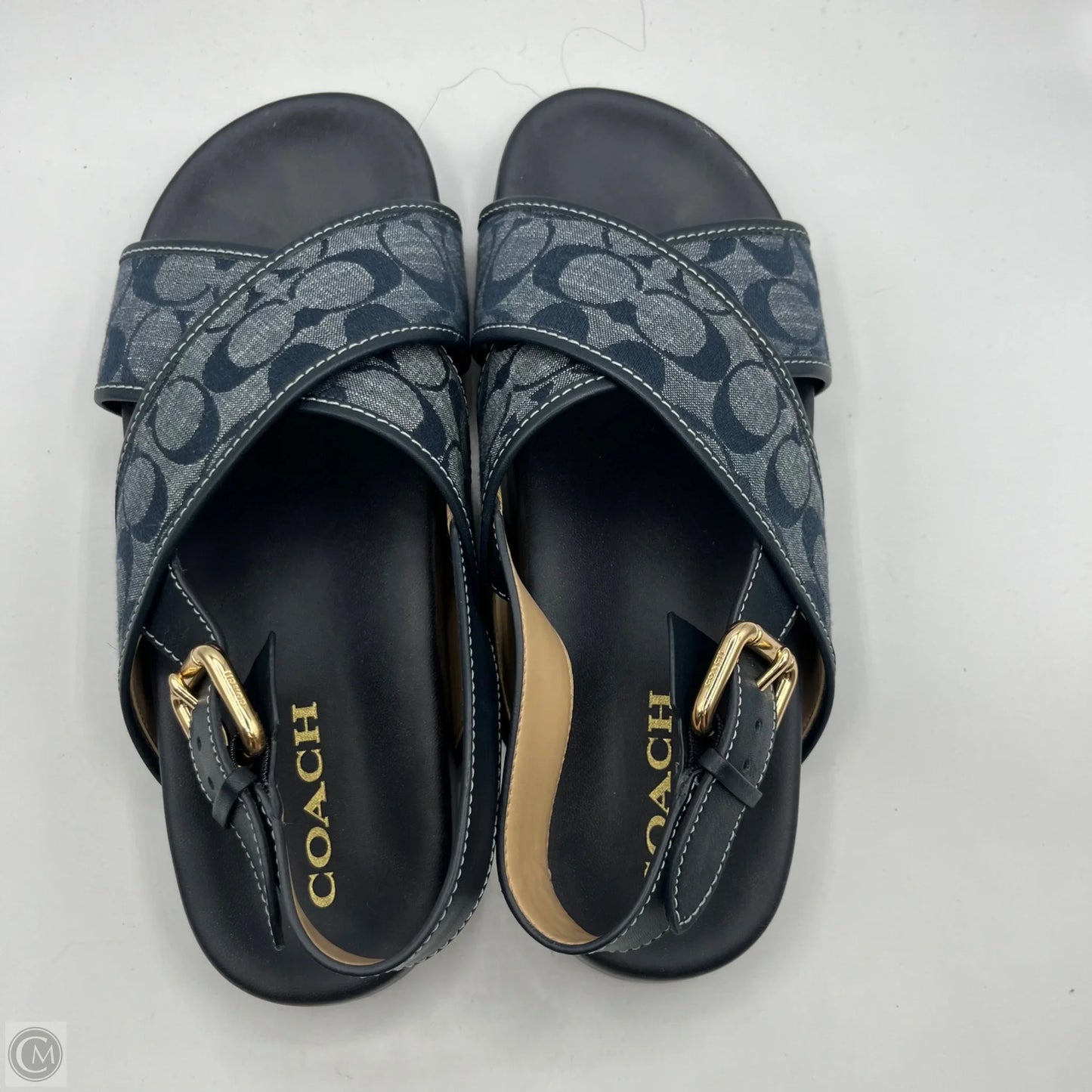 Sandals Designer By Coach In Blue, Size: 9