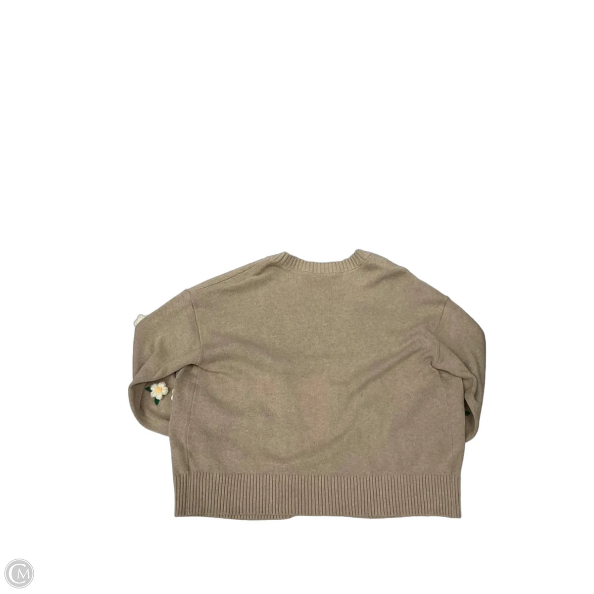 Cardigan By Torrid In Beige, Size: M
