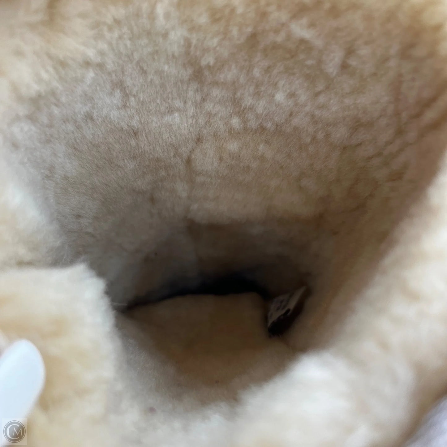 Boots Designer By Ugg In Cream, Size: 6