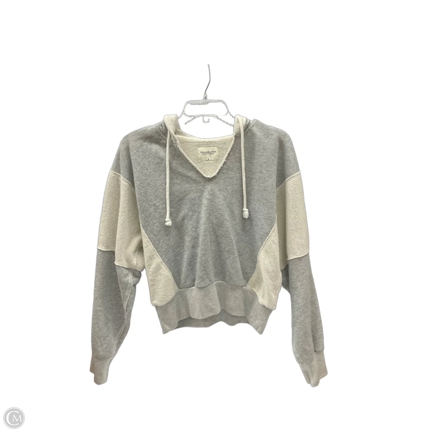Sweatshirt Hoodie By Abercrombie And Fitch In Grey, Size: S