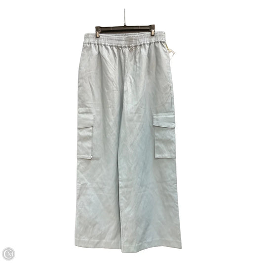 Pants Cargo & Utility By Clothes Mentor In Blue, Size: L